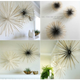 Illustration for article titled DIY Creative Decor Hacks That Will Blow Your Mind